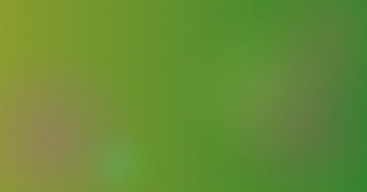 神明推荐：新手入门清单